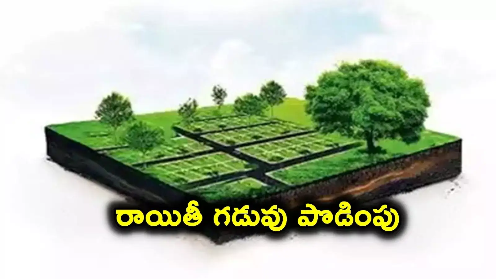 ఎల్ఆర్ఎస్ రాయితీ గడువు పొడిగింపు.. ఏ తేదీ వరకంటే..