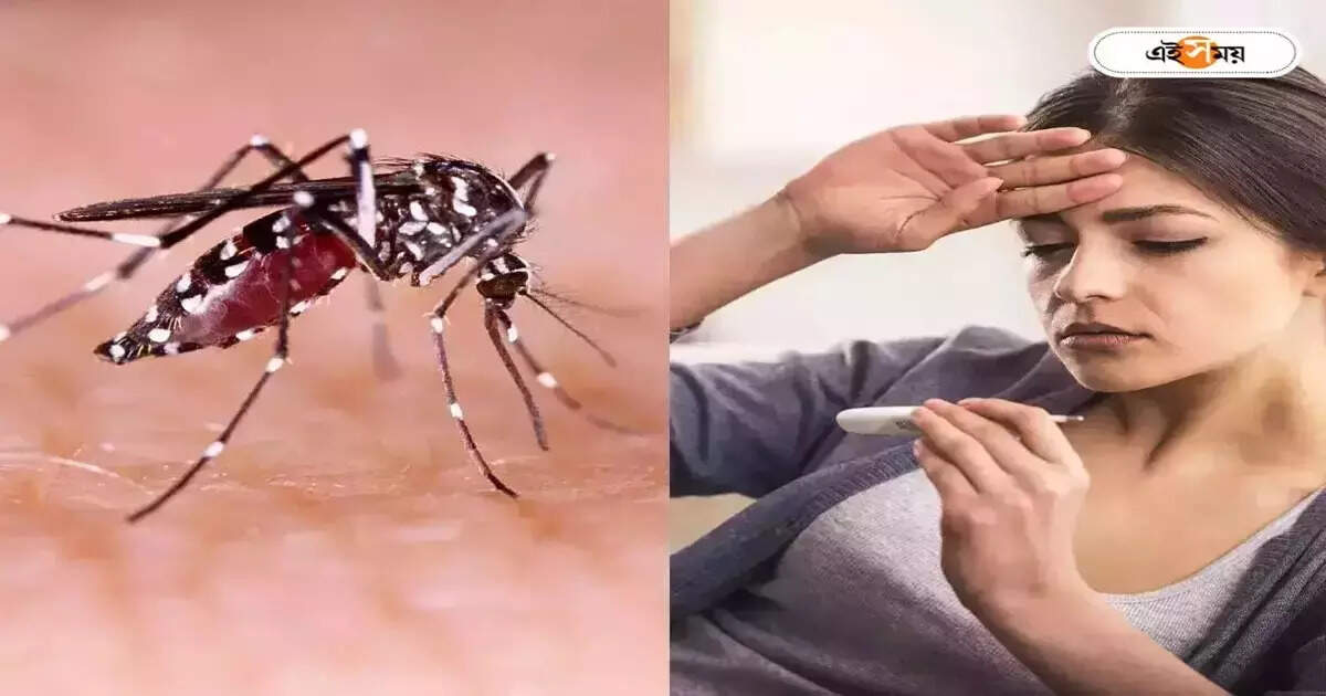 Dengue Fever : ডেঞ্জারাস ডেঙ্গি, নজরে দক্ষিণ দমদমের ৭ পাড়া – pits dug for new flats in areas of south dum dum municipality are breeding ground for mosquitoes