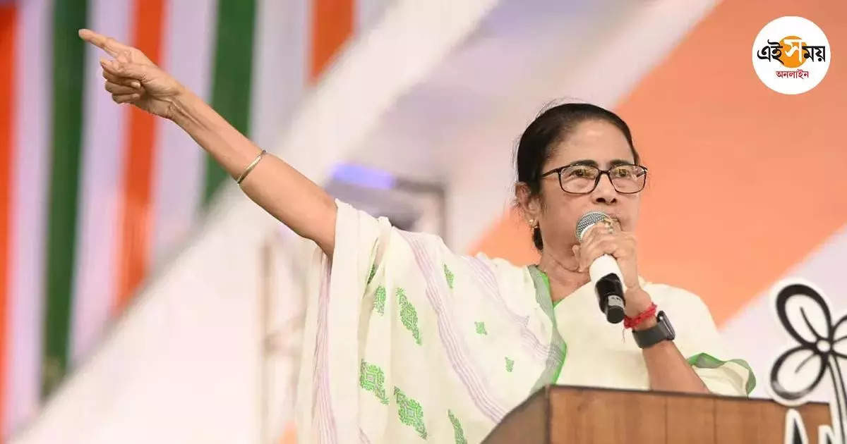 Mamata Banerjee: মৃতদের পরিবার পাবে ক্ষতিপূরণ, ঘোষণা মমতার – cm mamata banerjee announced every families of the deceased to get compensation