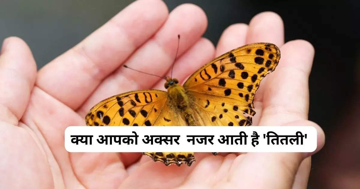international day of yoga 2023: butterfly and setu bandhasana benefits yoga  asanas to make your uterus healthy in hindi - International Day of Yoga  2023: कंसीव करने में हो रही है दिक्कत? '