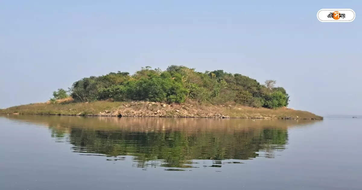 West Bengal Tourism,কলকাতার অদূরেই জল-জঙ্গলে ঘেরা অপূর্ব জায়গা, খরচও ন্যূনতম, জানেন এই ডেস্টিনেশনের খোঁজ? – mukutmanipur tourism how to reach the place where to stay