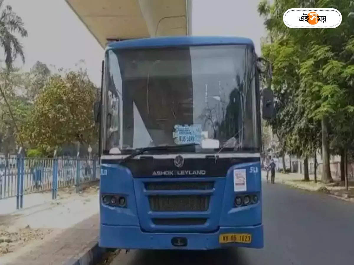 Bus Strike: রাজ্য সড়কে অটো-টোটোর দৌরাত্ম্য বন্ধ না হলে অনির্দিষ্টকালের জন্য বন্ধ বেসরকারি বাস, হুঁশিয়ারি বাস মালিক সংগঠনের – north dinajpur private bus association give threat for go on a strike