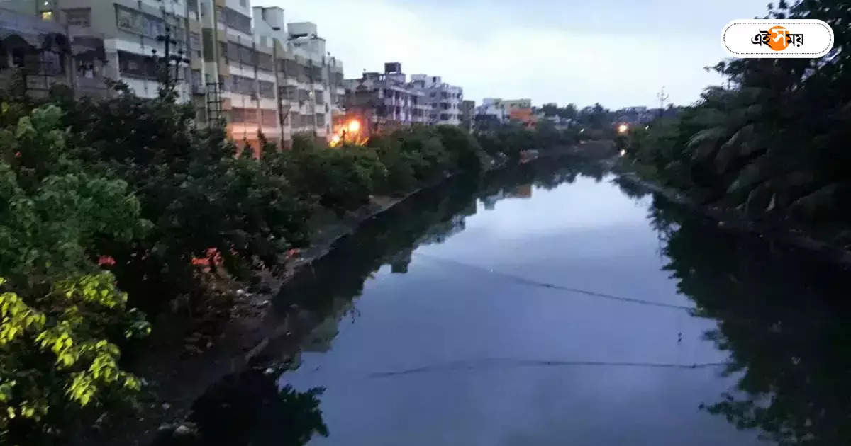 Bagjola Canal : মানা হয়নি নির্দেশ, হলফনামা দিতে হবে পর্ষদ আর রাজ্যকে – bagjola canal case in national environment court