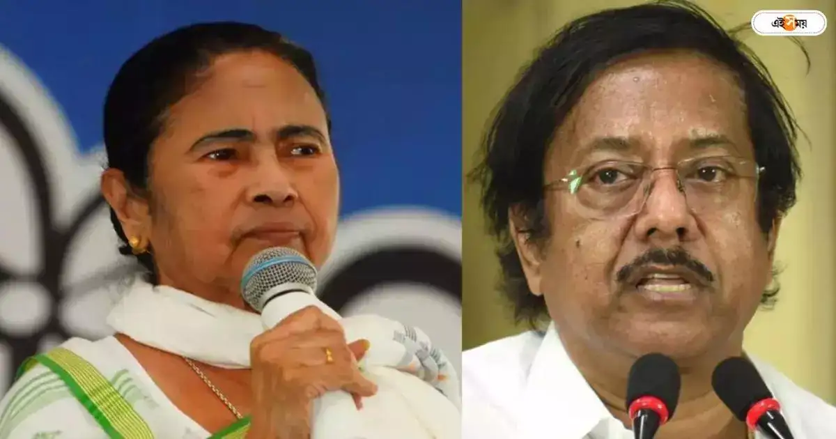 Mamata Banerjee: বালু জেলে, বেড়েছে বামেদের মিটিং মিছিল,দাবি মমতার – west bengal cm mamata banerjee says in the absence of jyotipriya mallick cpm rallies have increased in north 24 parganas in lok sabha election