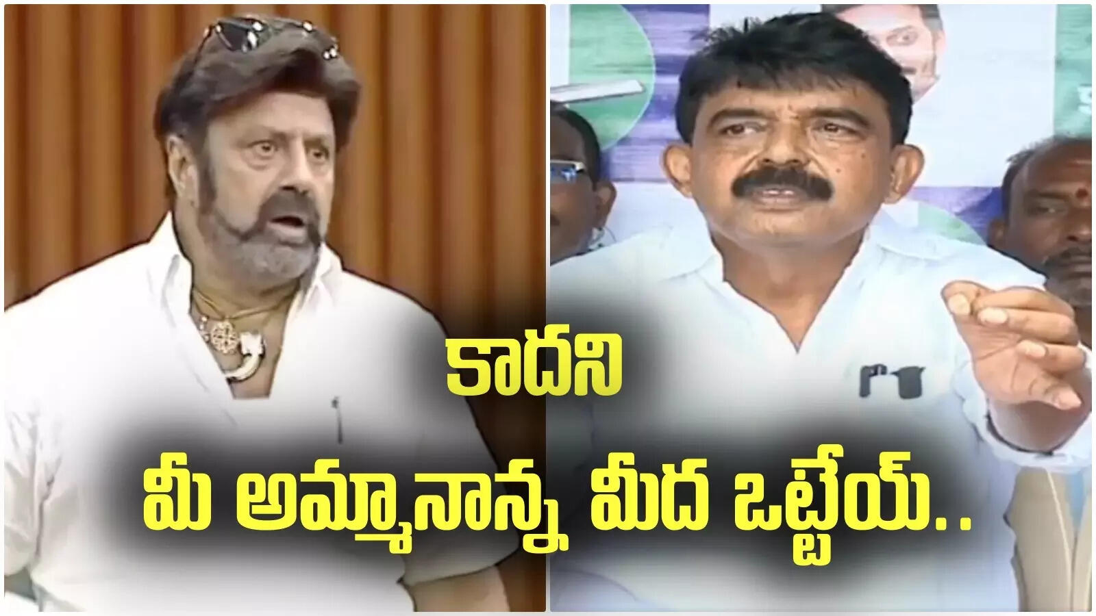 నా తల్లి మీద ఒట్టు.. ఆ రోజు బాలకృష్ణ ఫోన్ చేశాడు.. జగన్‌ను కలవాలన్నాడు.. పేర్ని నాని సంచలన వ్యాఖ్యలు