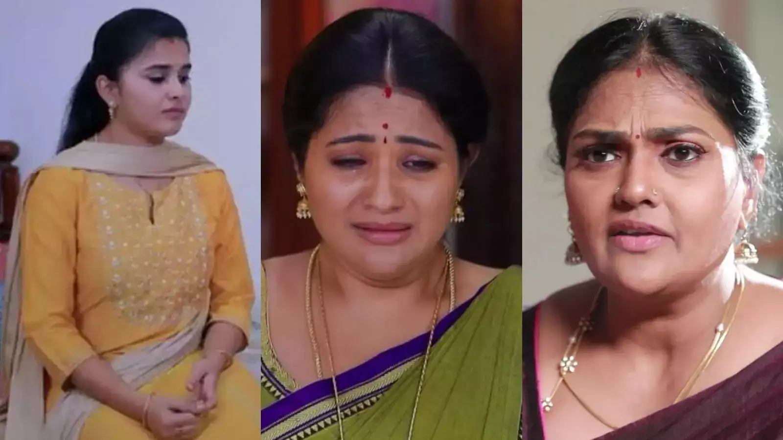 பாண்டியன் ஸ்டோர்ஸ் 2: மயில் போட்ட நாடகம்.. பதறிப்போன குடும்பம்.. ராஜி எடுத்த விபரீத முடிவு! 