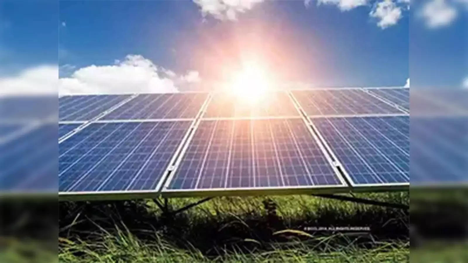 Solar Energy Production: ॲग्रिपीव्हीची वेगळी दिशा