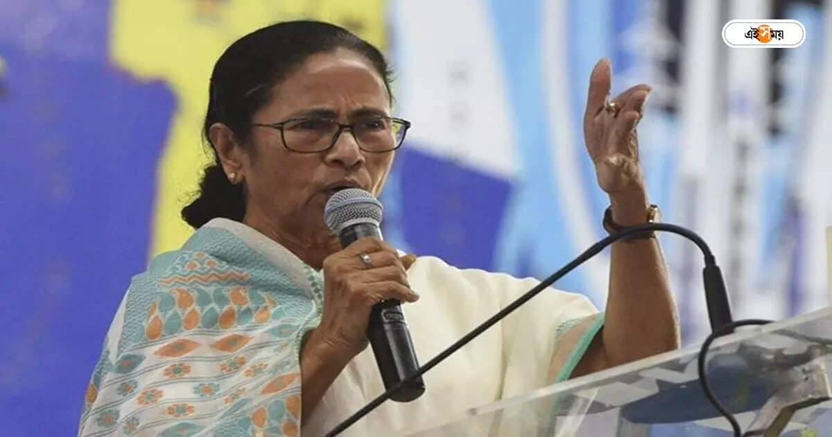 Mamata Banerjee News: BJP-কে সাহায্য করতে জোট করেছে সিপিএম-কংগ্রেস: মমতা – mamata banerjee public meeting in west bengal trinamool congress supremo says cpim and congress make alliance to help bjp