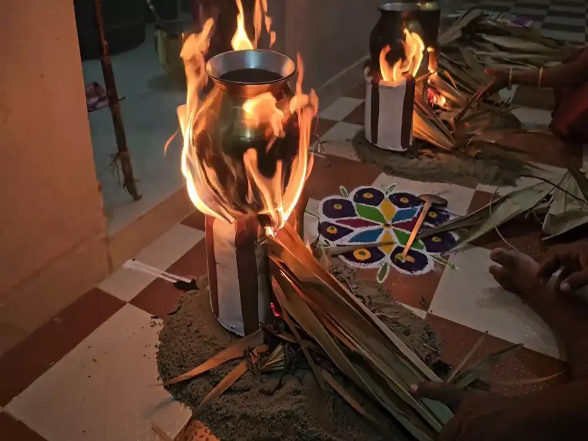 நெல்லையில் களைகட்டும் பொங்கல் கொண்டாட்டம்! புதுமண தம்பதிகள் தலைப்பொங்கல் வைத்து மகிழ்ச்சி! 