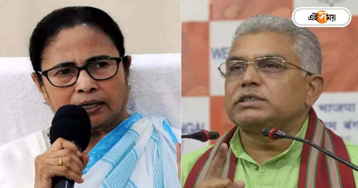 Dilip Ghosh Mamata Banerjee : এবার দিলীপের ভবিষ্যদ্বাণী, পালটা ‘প্রহসন’-কটাক্ষ – dilip ghosh predicts central probe agency to send letter to cm mamata banerjee very soon