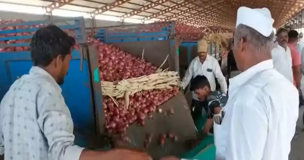 कांदाप्रश्न पेटणार! कांद्यावर ४० टक्के निर्यातशुल्क; कांदा उत्पादक संघटना आक्रमक कांदाप्रश्न पेटणार! कांद्यावर ४० टक्के निर्यातशुल्क; कांदा उत्पादक संघटना आक्रमक
