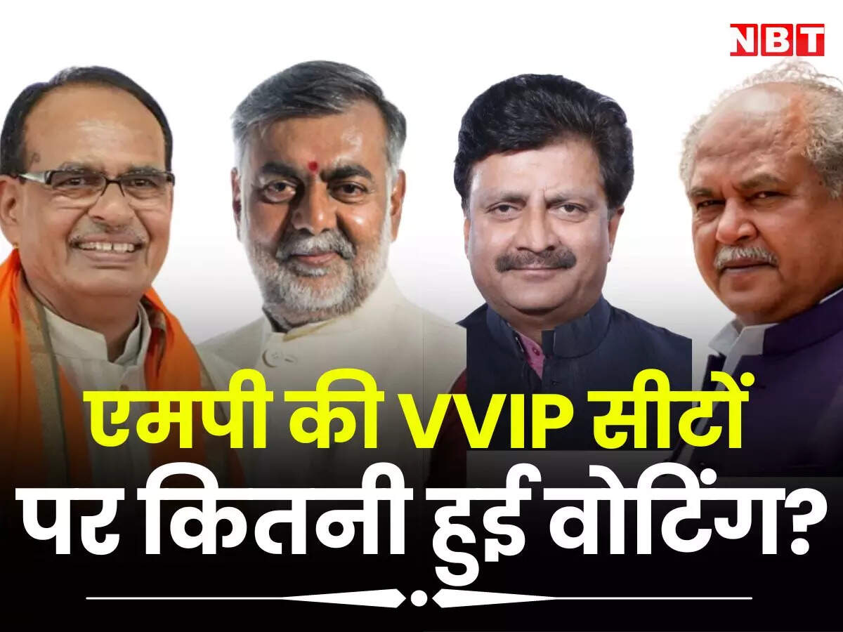 vvip-meaning