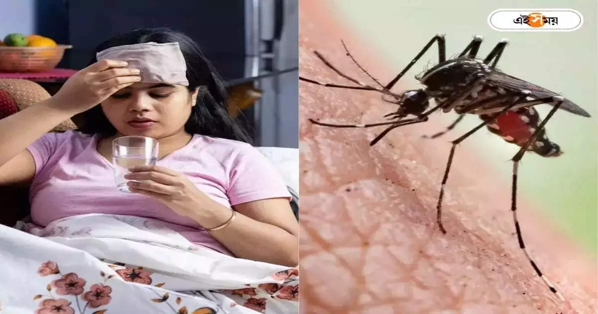 Dengue Kolkata : মধ্যমগ্রামের আবাসনে ৩৭ জন বাসিন্দা ডেঙ্গিতে আক্রান্ত, বর্ষার মুখে বাড়ছে উদ্বেগ – before the onset of monsoon 37 residents of a multi storied residence in madhyamgram are infected with dengue