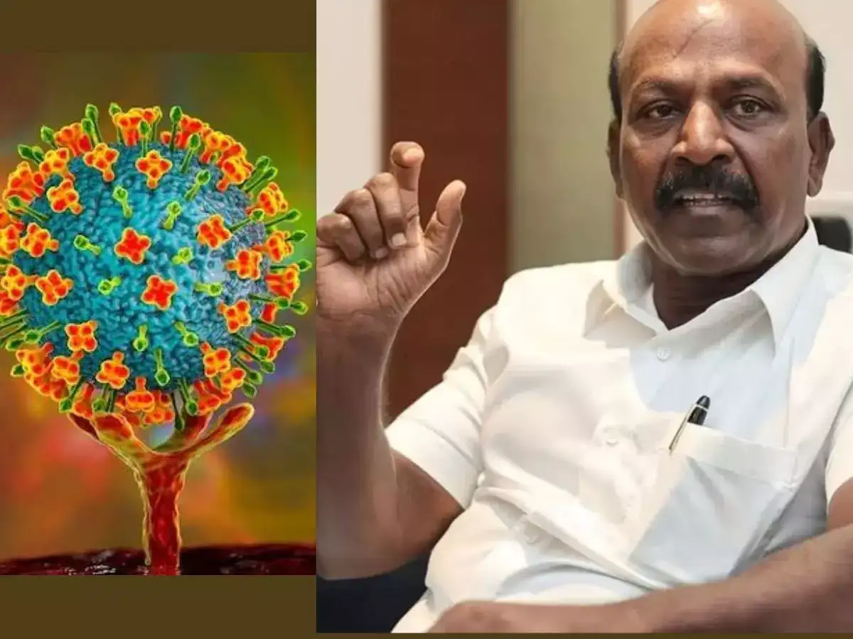 நிஃபா வைரஸ் பாதிப்பு: தமிழ்நாட்டின் நிலை எப்படி இருக்கிறது? மா.சுப்பிரமணியன் கொடுத்த அப்டேட்! 
