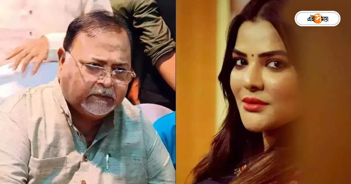 Partha Arpita News : দাঁতের যন্ত্রণা অর্পিতার, চলাফেরায় সমস্যা পার্থর! আদালতে আর্জি দু’জনেরই – partha and arpita difficult to walk due to leg problems at presidency correctional facility