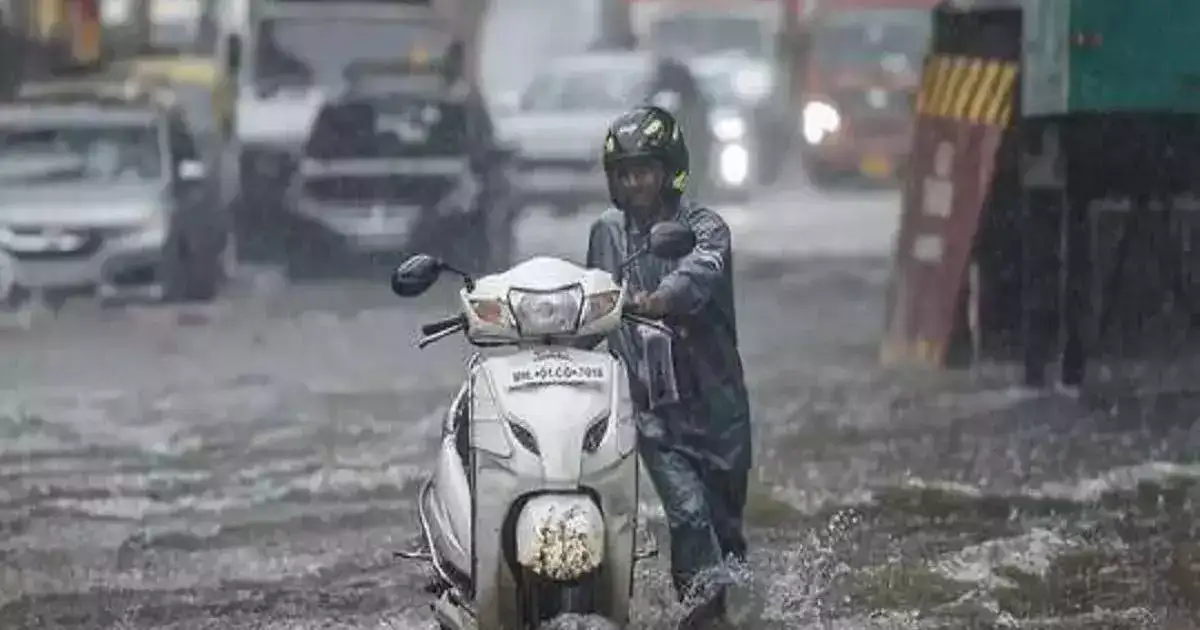 राज्यात पुढचे १० दिवस पावसाची स्थिती कशी असणार, मान्सूनचं कमबॅक कधी होणार, तज्ज्ञ म्हणतात.. राज्यात पुढचे १० दिवस पावसाची स्थिती कशी असणार, मान्सूनचं कमबॅक कधी होणार, तज्ज्ञ म्हणतात..