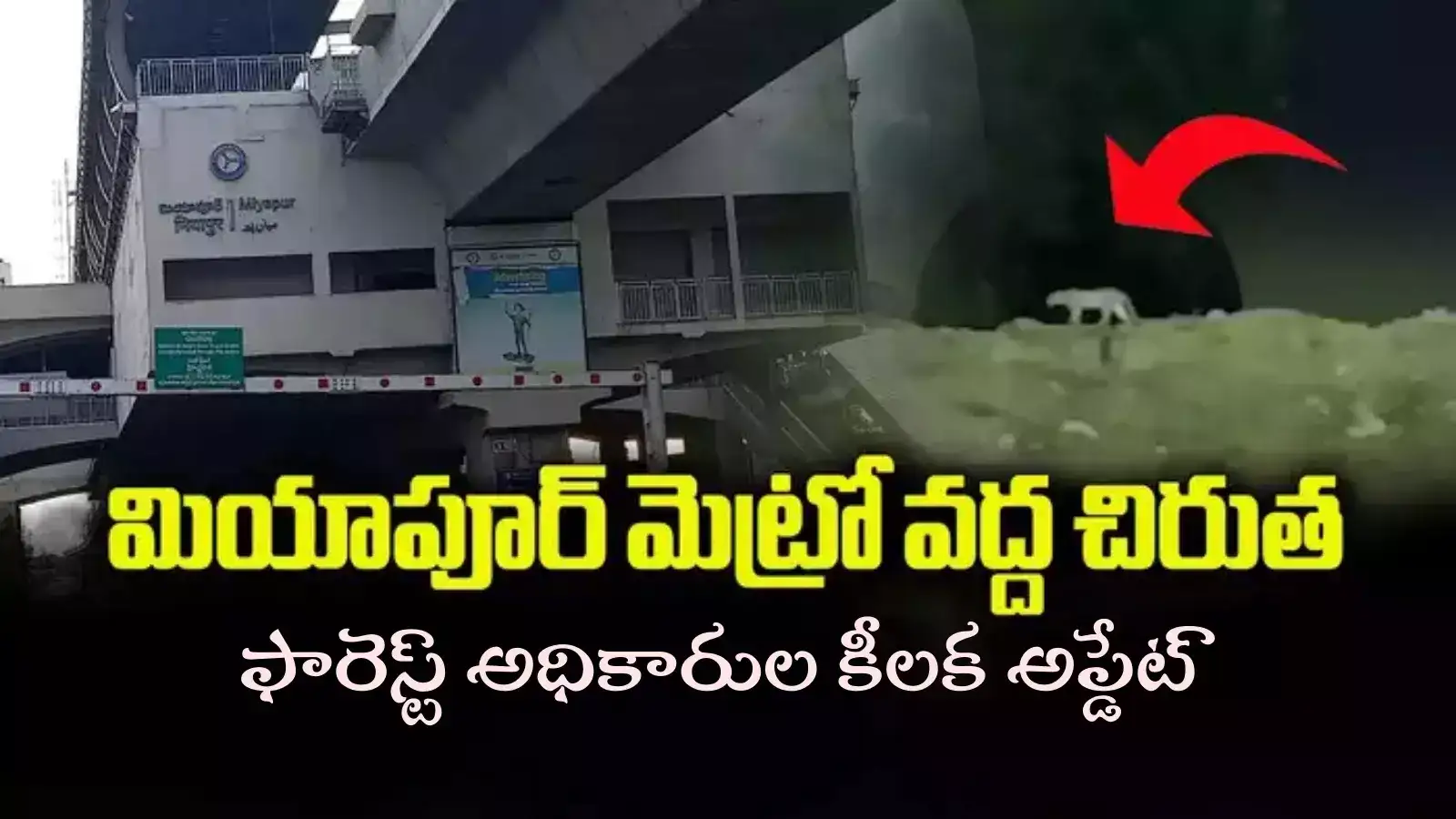 మియాపూర్‌ మెట్రో స్టేషన్ సమీపంలో చిరుత.. ఫారెస్ట్ డిపార్ట్‌మెంట్ కీలక అప్డేట్
