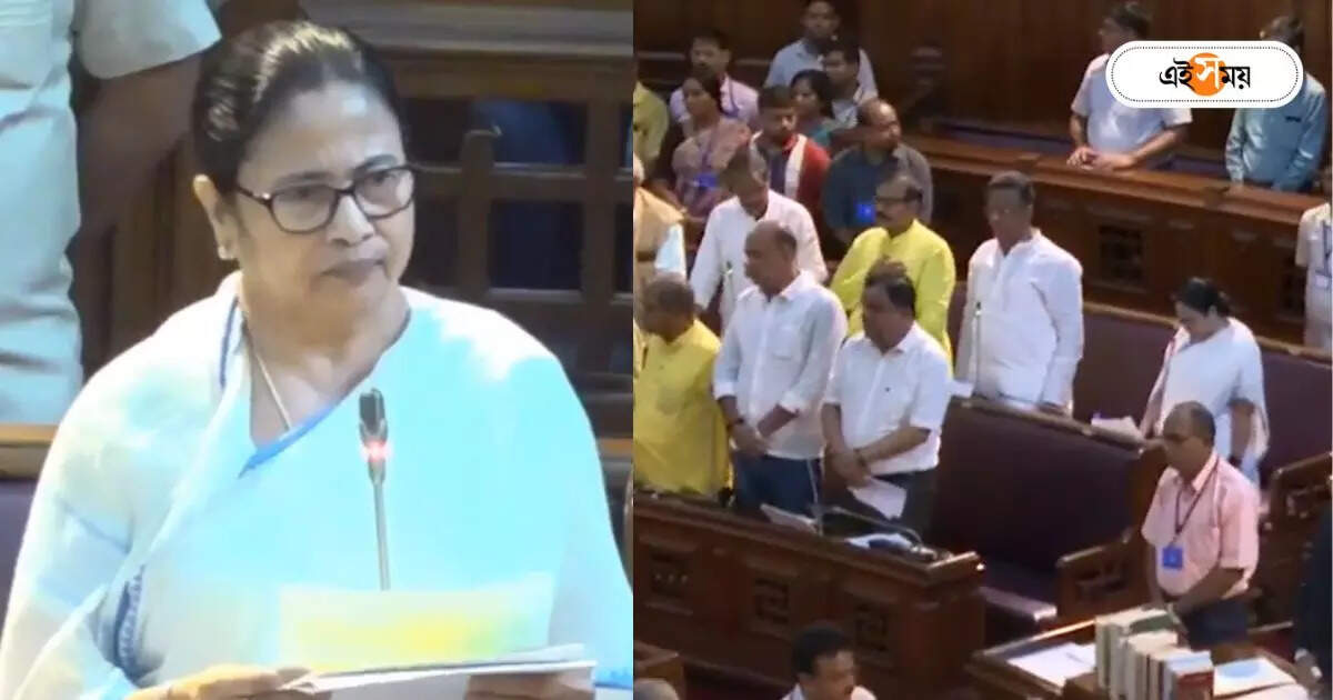 Mamata Banerjee Assembly : ইন্দ্রনীলের কণ্ঠে রাজ্য সংগীত, গলা মেলালেন মমতাও! বিরল মুহূর্ত বিধানসভায় – mamata banerjee and trinamool congress mla sang state anthem banglar mati banglar jal at west bengal assembly