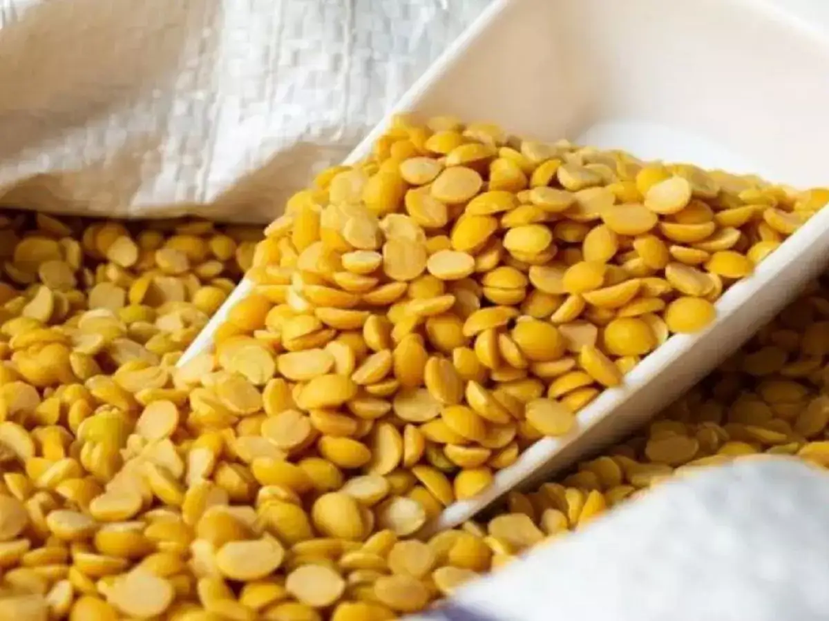 உயரத் துடிக்கும் பருப்பு விலை.. கட்டுப்படுத்த நடவடிக்கை! 