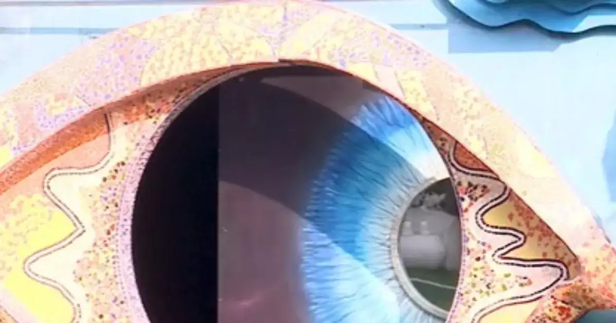 ஓமைகாட், விதியை மீறிய 2 பேரை அவசர அவசரமாக வெளியே விரட்டிவிட்ட பிக் பாஸ் 