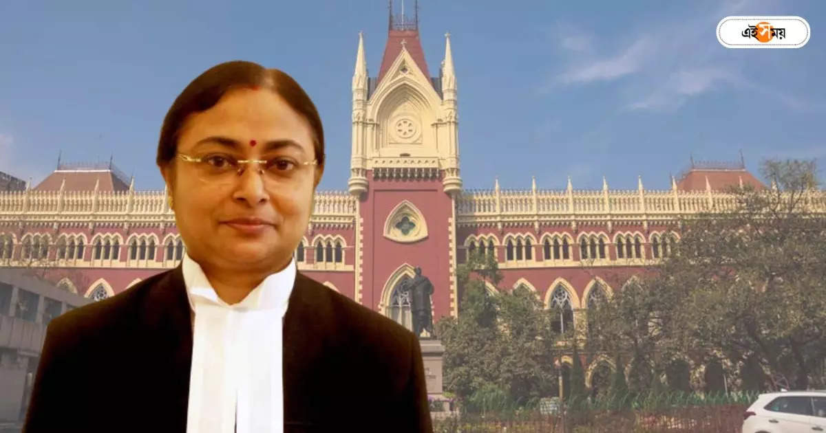 Justice Amrita Sinha: মক্কায় বসে মিনাখাঁয় মনোনয়ন জমা, সরকারি অফিসারদের ভূমিকা খতিয়ে দেখতে নির্দেশ বিচারপতি সিনহা – calcutta high court justice amrita sinha order to investigate government officers role on tmc minakha ex candidate case