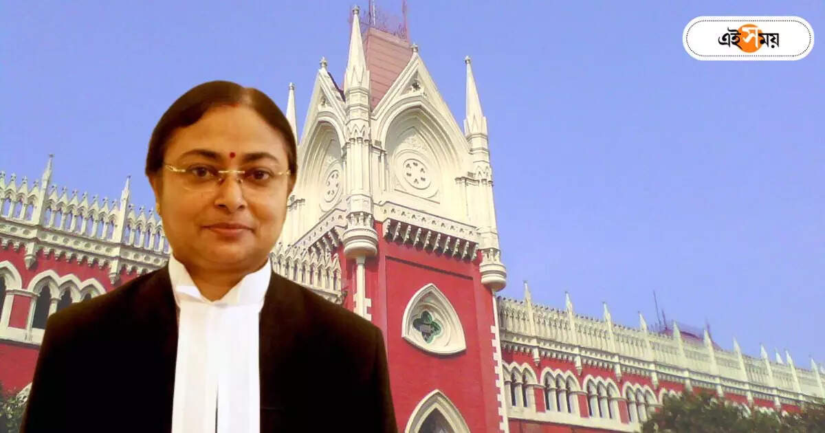 Calcutta High Court : ‘কিছু দেখা যায়নি…’, ভিডিয়ো দেখে CPIM প্রার্থীর আবেদন খারিজ বিচারপতি সিনহার – justice amrita sinha calcutta high court dismissed cpim candidate plea on panchayat repoll