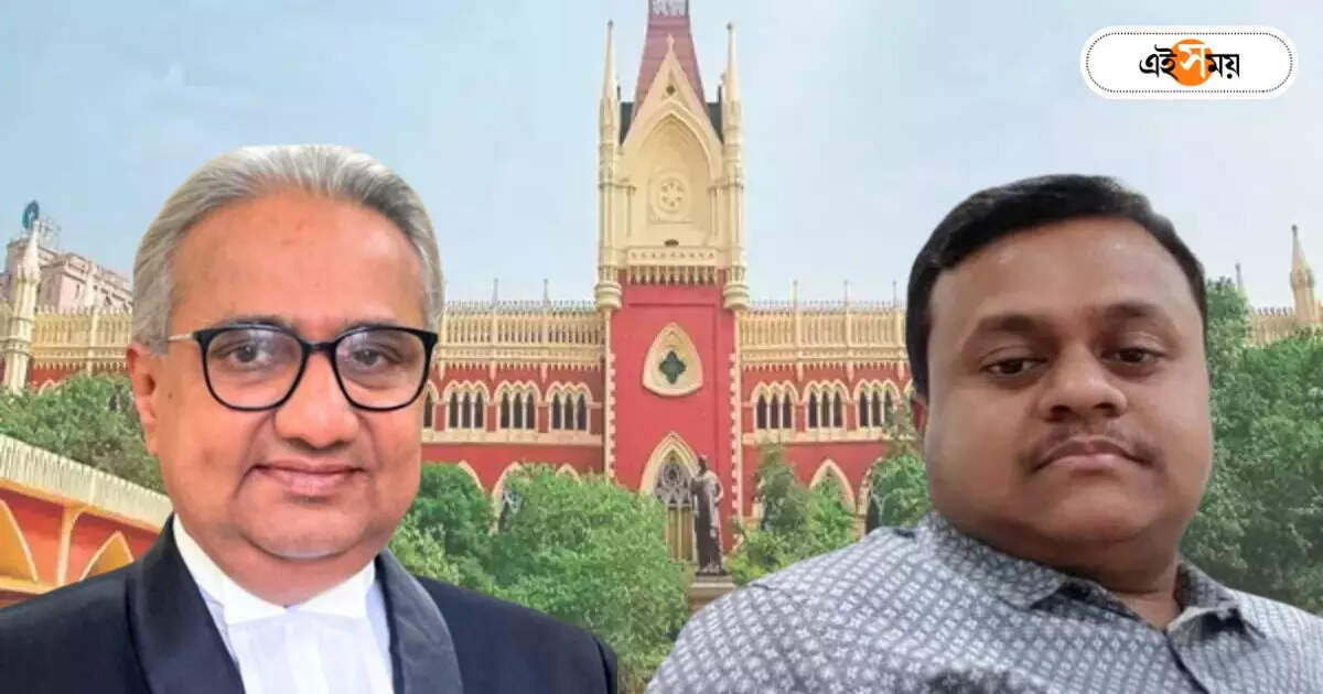Soumendu Adhikari : রক্ষাকবচ চেয়ে আদালতে সৌমেন্দু! ‘নতুন’ আশঙ্কায় শুভেন্দুর ভাই – soumendu adhikari moves to calcautta high court demanding safeguard