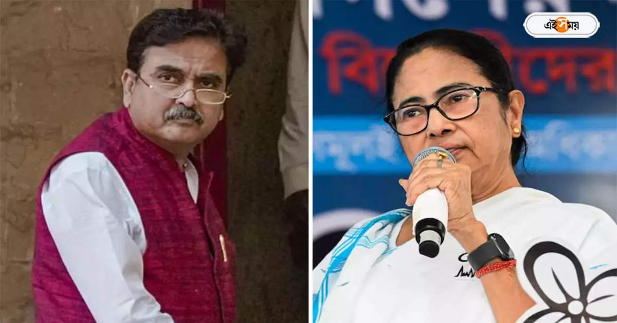 Trinamool Congress : মুখ্যমন্ত্রীকে নিয়ে অশালীন মন্তব্য, অভিজিতের বিরুদ্ধে কমিশনকে পদক্ষেপের আর্জি তৃণমূলের – tmc appealed election commission to take step against abhijit ganguly for bad statement against mamata banerjee