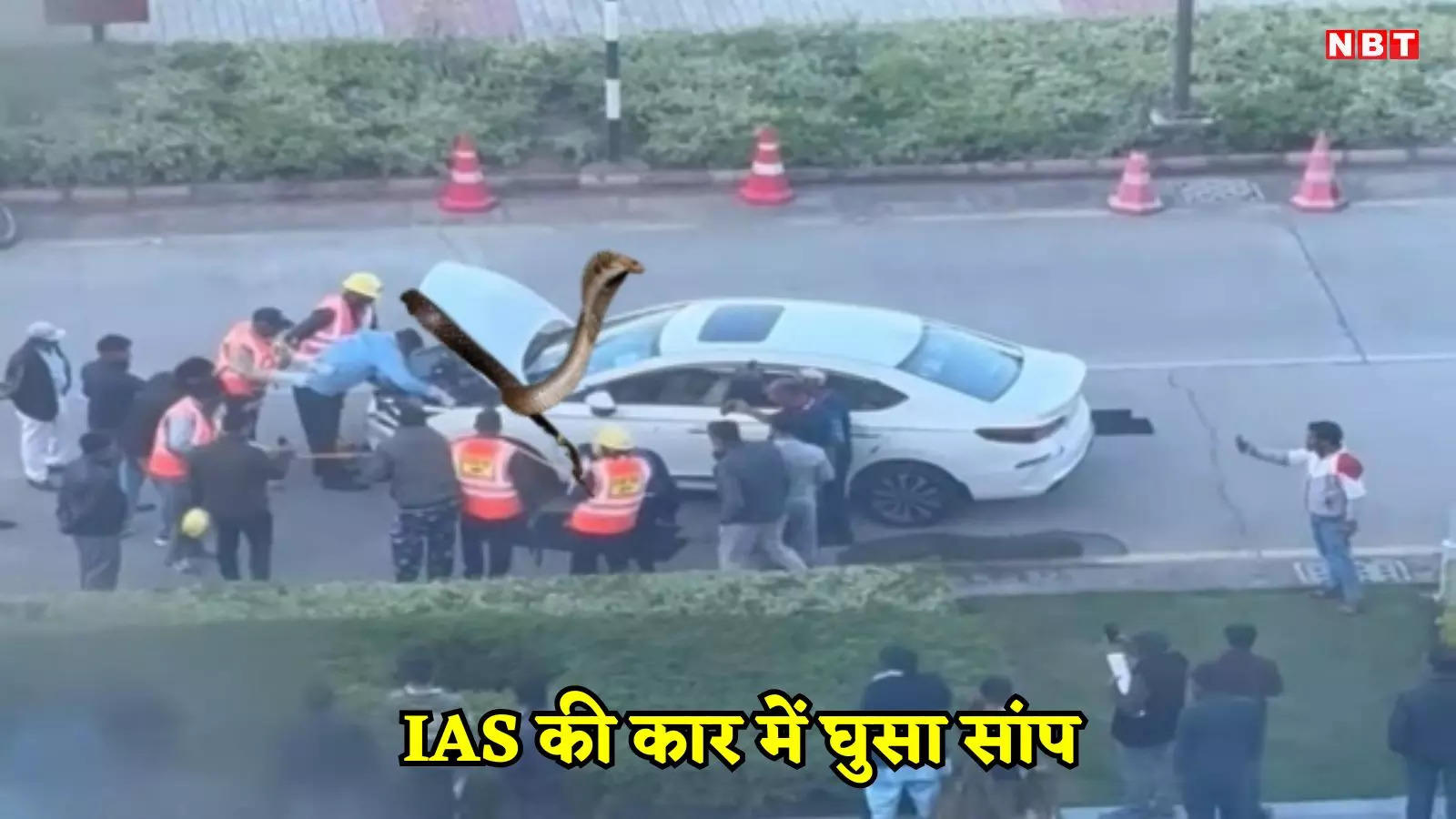 OMG! IAS की कार में घुस गया सांप, भोपाल के मंत्रालय में मचा हड़कंप, SDRF के आने के बाद जो हुआ...