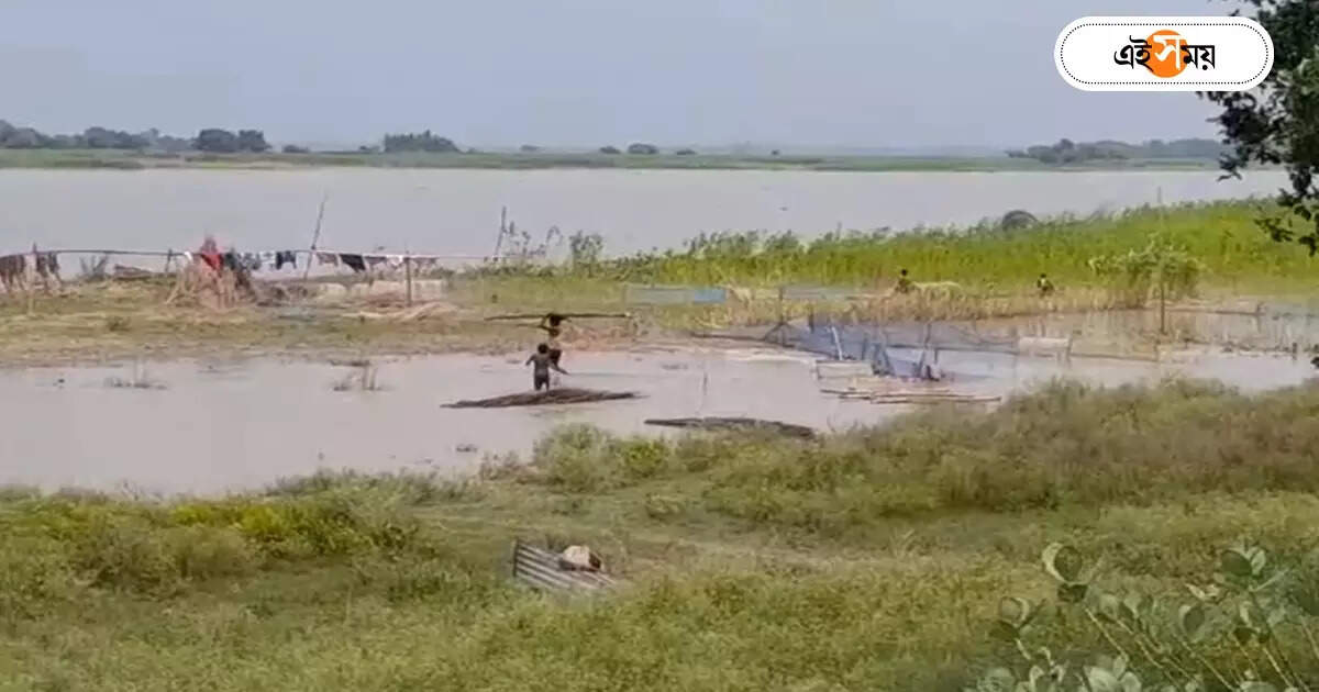 Ganga Erosion : গঙ্গা মাতাকে তুষ্ট করলেই ঠেকানো যাবে ভাঙন! মালদায় অভিনব উদ্যোগ মহিলাদের – local women performed puja in malda to prevent the ganges erosion