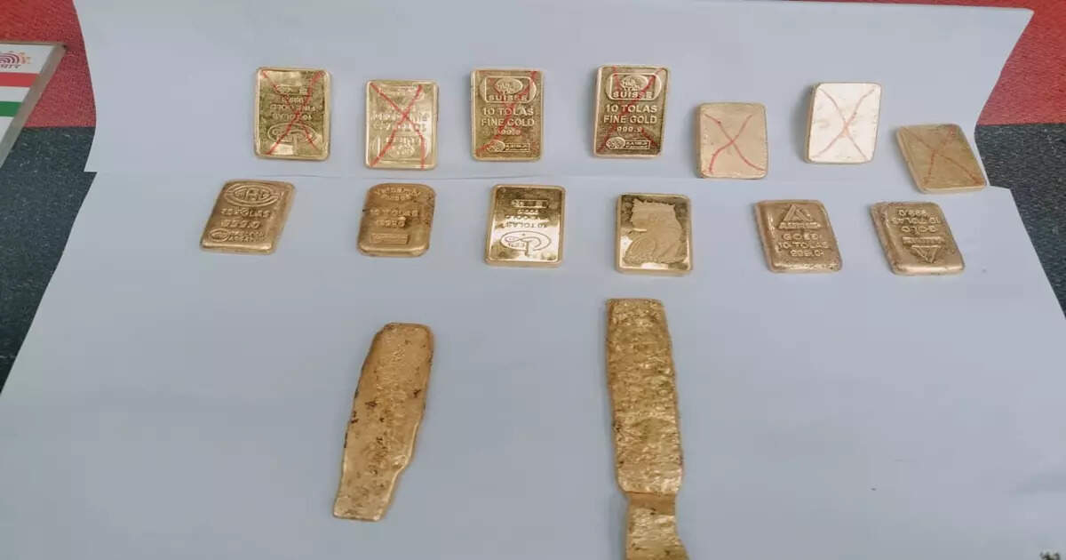 Gold Smuggling: বাইকের চেন কভারে থরে থরে সাজানো সোনার বিস্কুট! BSF-এর হাতে পাকড়াও রাজমিস্ত্রি – bsf arrest a mason allegedly he was smuggling gold