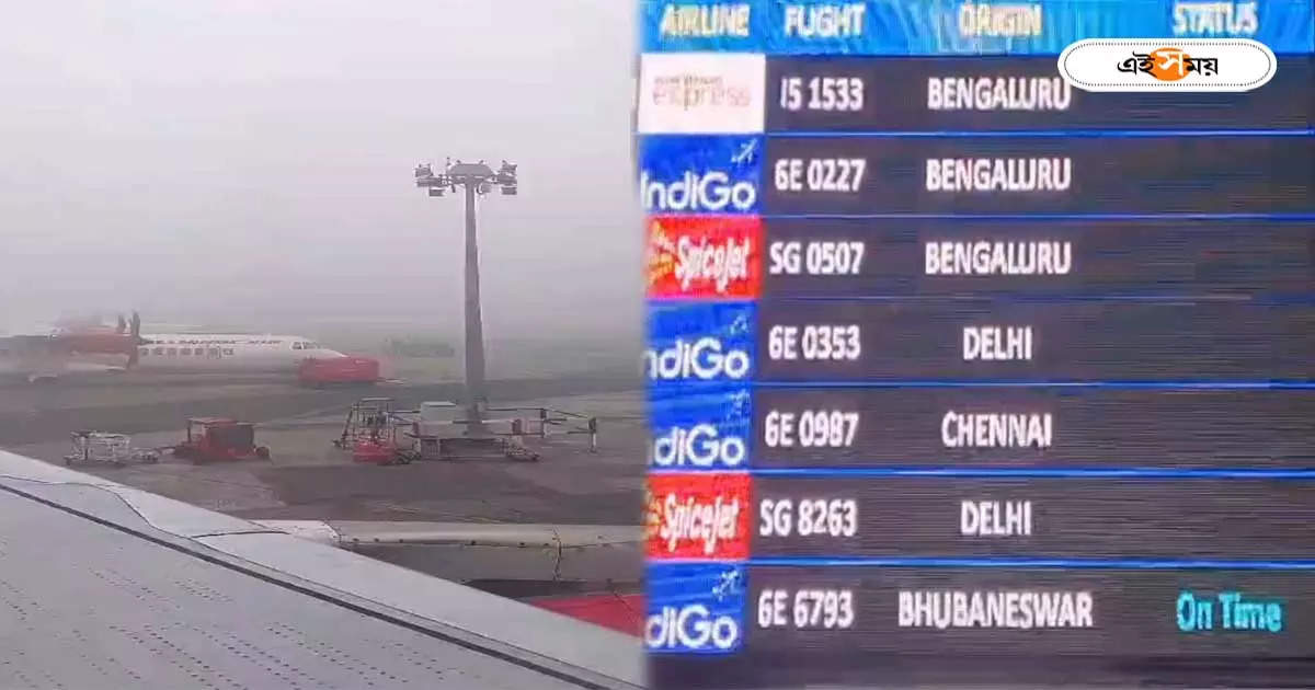 Kolkata Airport : কুয়াশায় ঢেকেছে রানওয়ে! কলকাতা এয়ারপোর্টে ব্যাহত বিমান পরিষেবা, ভোগান্তি যাত্রীদের – kolkata airport flight service resumed for huge fog on runway