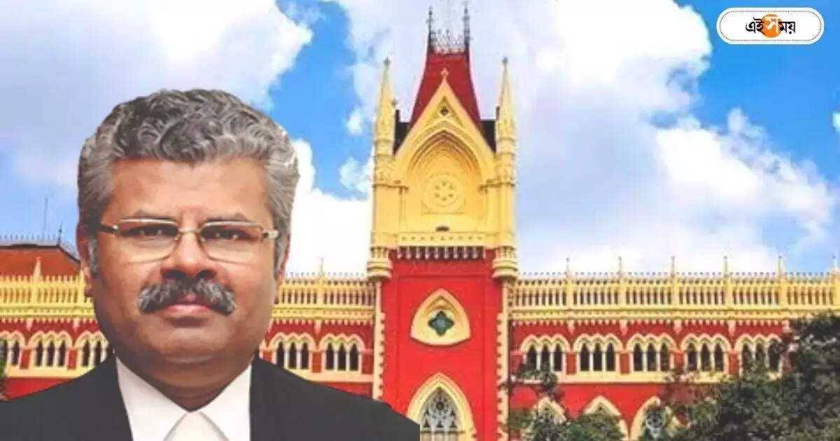 Calcutta High Court Latest New: কেন্দ্রীয় প্রকল্প বন্ধ করে ‘বাংলা সহায়তা কেন্দ্র’? ৫০০০০ টাকা জরিমানার হুঁশিয়ারি প্রধান বিচারপতির বেঞ্চের – calcutta high court chief justice division bench ask west bengal government to submit affidavit in common service centre case