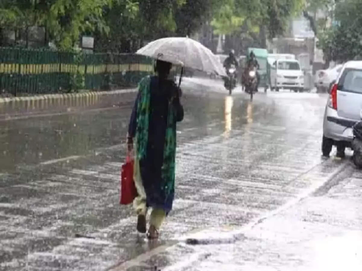 MP Weather Update: पश्चिमी विक्षोभ के कारण एमपी में फिर होगी बारिश, मौसम विभाग ने जारी किया अलर्ट