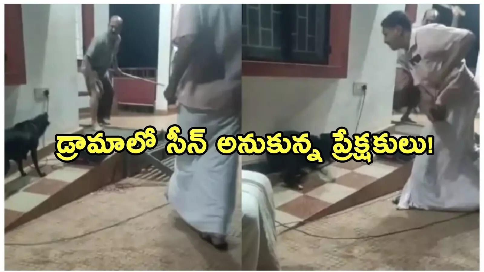 వీధి కుక్కల దాడులపై డ్రామా.. ఆర్టిస్ట్‌కు ఊహించని షాకిచ్చిన శునకం!
