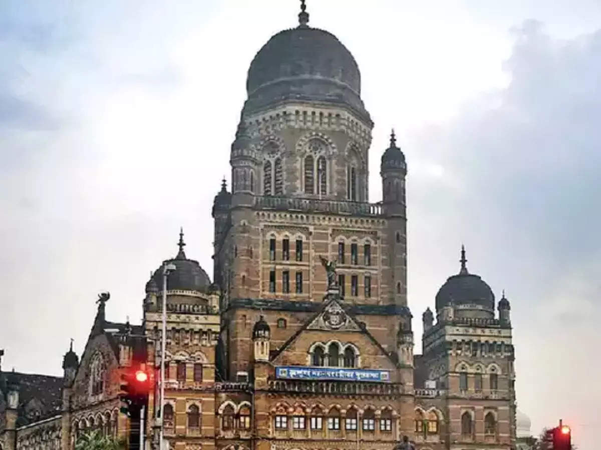 मुंबईला डेंग्यूमुक्त करण्यासाठी BMC ने लढवली अनोखी शक्कल; मुंबईकरांना करावं लागेल फक्त एक काम