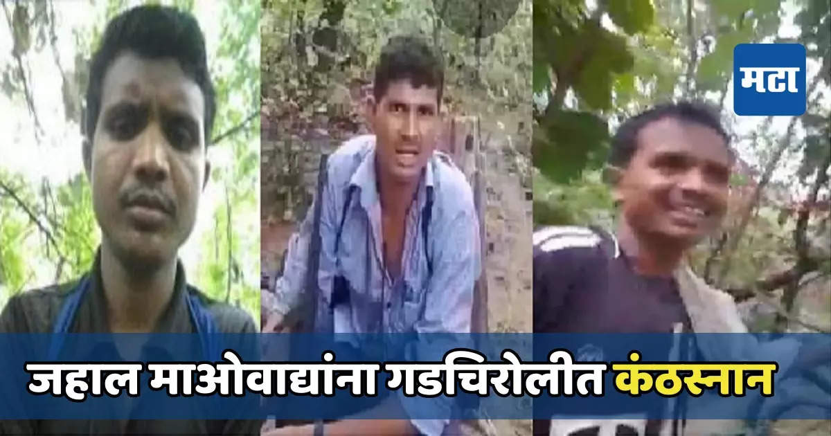 चार जहाल माओवाद्यांना गडचिरोलीत कंठस्नान, निवडणुकीच्या तोंडावर सुरक्षा दलांना मोठे यश