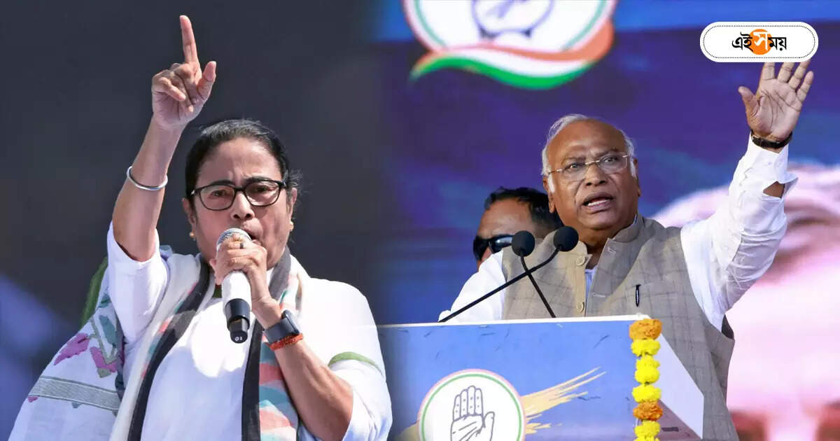 Lok Sabha Election 2024 : দরজা খোলাই, এখনও জোটের আশায় ‘হাত’ – lok sabha election congress high command is not completely dismissed the possibility alliance with tmc in west bengal