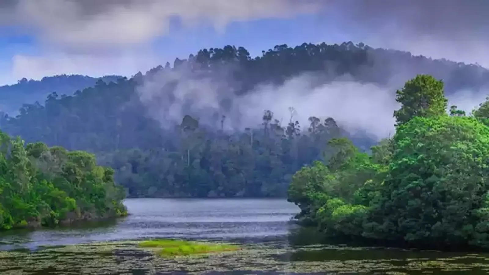 Kodaikanal Berijam Lake,கொடைக்கானல் பேரிஜம் ஏரி: சுற்றுலா பயணிகள் செல்ல  அனுமதி! - tourists allowed to visit kodaikanal berijam lake from tomorrow -  Samayam Tamil