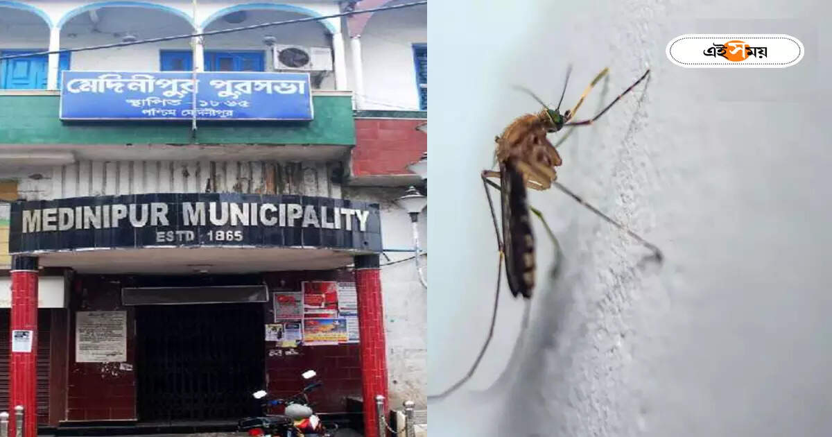 মেদিনীপুরে ডেঙ্গির বলি ১! বাড়ছে আতঙ্ক, পুরসভার ভূমিকায় ক্ষুব্ধ বিরোধীরা