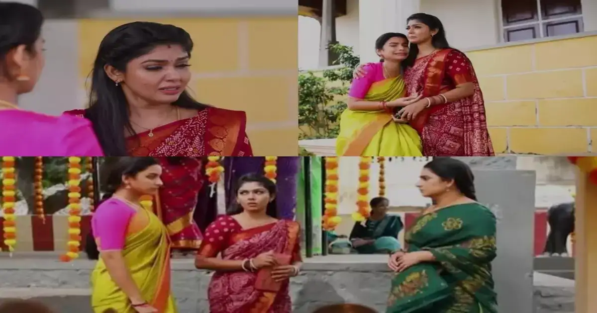 Pandian Stores: உண்மை அவிழும் தருணம்.. கதறி அழுத முல்லை: அடுத்து நிகழ போவது என்ன? 