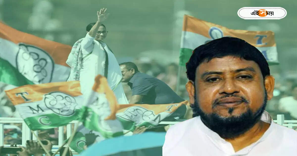 TMC Candidate List : সন্দেশখালির ক্ষতে প্রলেপের চেষ্টা! বসিরহাটে পুরনো মুখেই ভরসা তৃণমূলের, কোন অঙ্কে প্রার্থী হলেন হাজি নুরুল? – tmc announced haji nurul islam as basirhat constituency lok sabha candidate