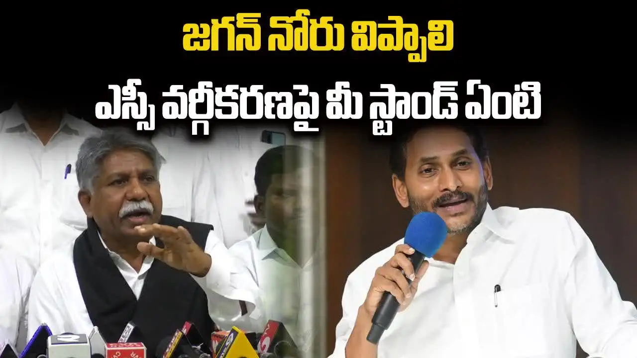 ఎస్సీ వర్గీకరణపై జగన్ స్టాండ్ ఏంటో చెప్పాలి.. మందకృష్ణ మాదిగ
