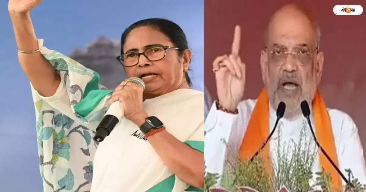 Mamata Banerjee : ‘টাকা খাওয়া’র পাল্টা ‘নাকে খত’! – cm mamata banerjee attacks on minister amit shah from malda lok saha election conference