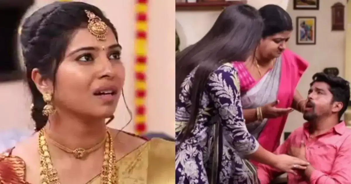 சிறகடிக்க ஆசை: சீதா கல்யாணத்தில் மனோஜ் செய்த பிரச்சனை.. சரமாரியாக தாக்கிய குடும்பம்.. கடைசியில் ட்விஸ்ட்! 
