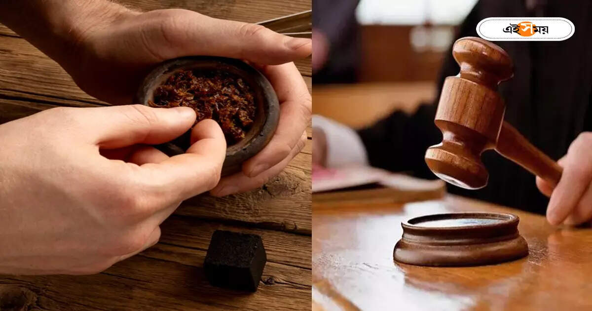 Divorce Case : এক টিপ নস্যির ঝাঁঝে আদালতে স্ত্রী, পা ধরে নেশা ছাড়ার অঙ্গীকার স্বামীর – wife lodged divorce case at alipore court against husband for taking snuff tobacco