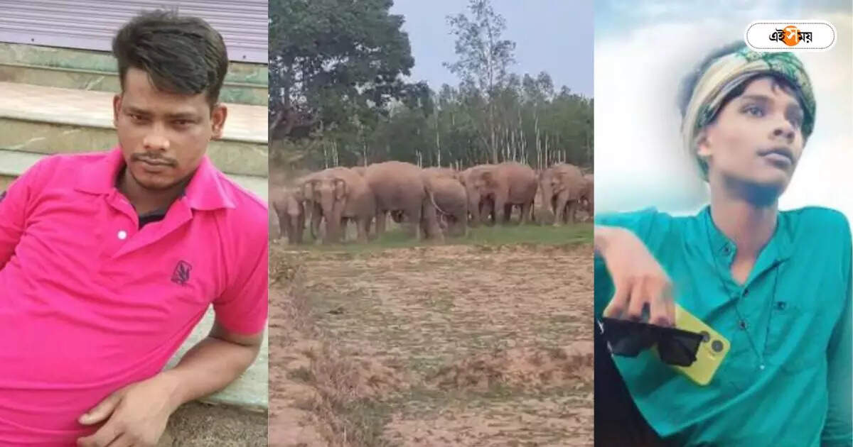 Elephant Attack : তাড়াতে গিয়ে বড় বিপর্যয়! ২ হুলা পার্টির সদস্যকে পিষে মারল হাতি – two lost lives in an elephant attack at jhargram area