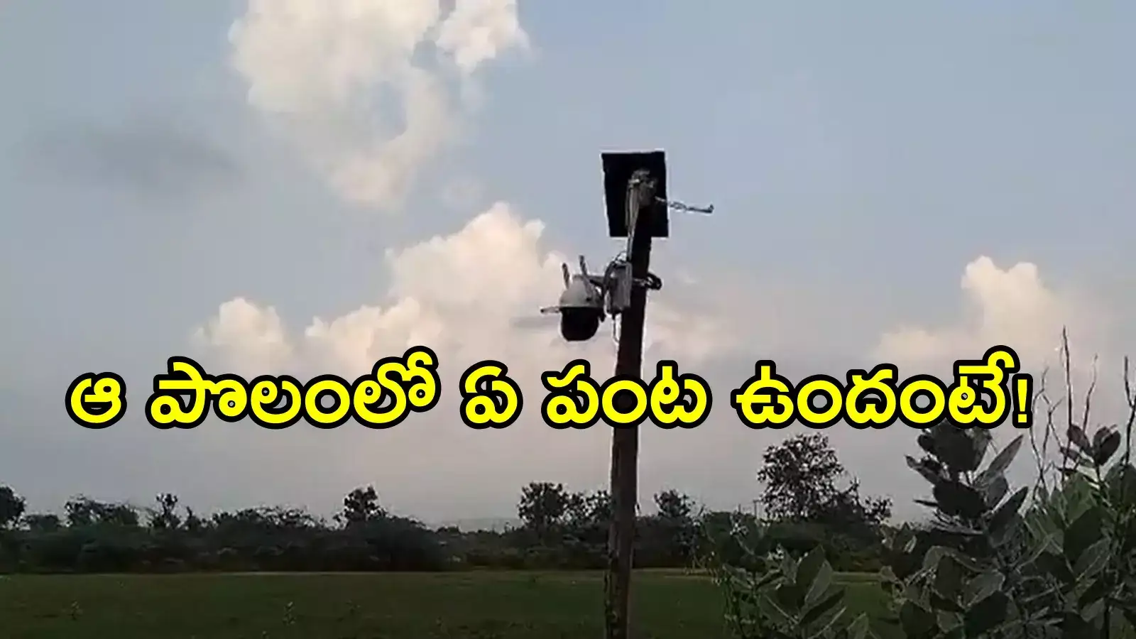 కడప: పొలం చుట్టూ 25 సీసీ కెమెరాలు ఏర్పాటు చేసిన రైతు.. ఐడియా బావుంది, కారణం ఏంటంటే