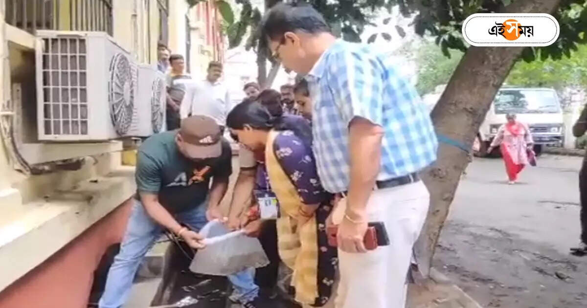 Dengue Fever : ডেঙ্গির সংক্রমণে রাশ টানতে বিশেষ ব্যবস্থা, পুরসভার উদ্যোগে ছাড়া হল গাপ্পি মাছ – guppy fish are being released in small ponds in drains in different areas to prevent dengue