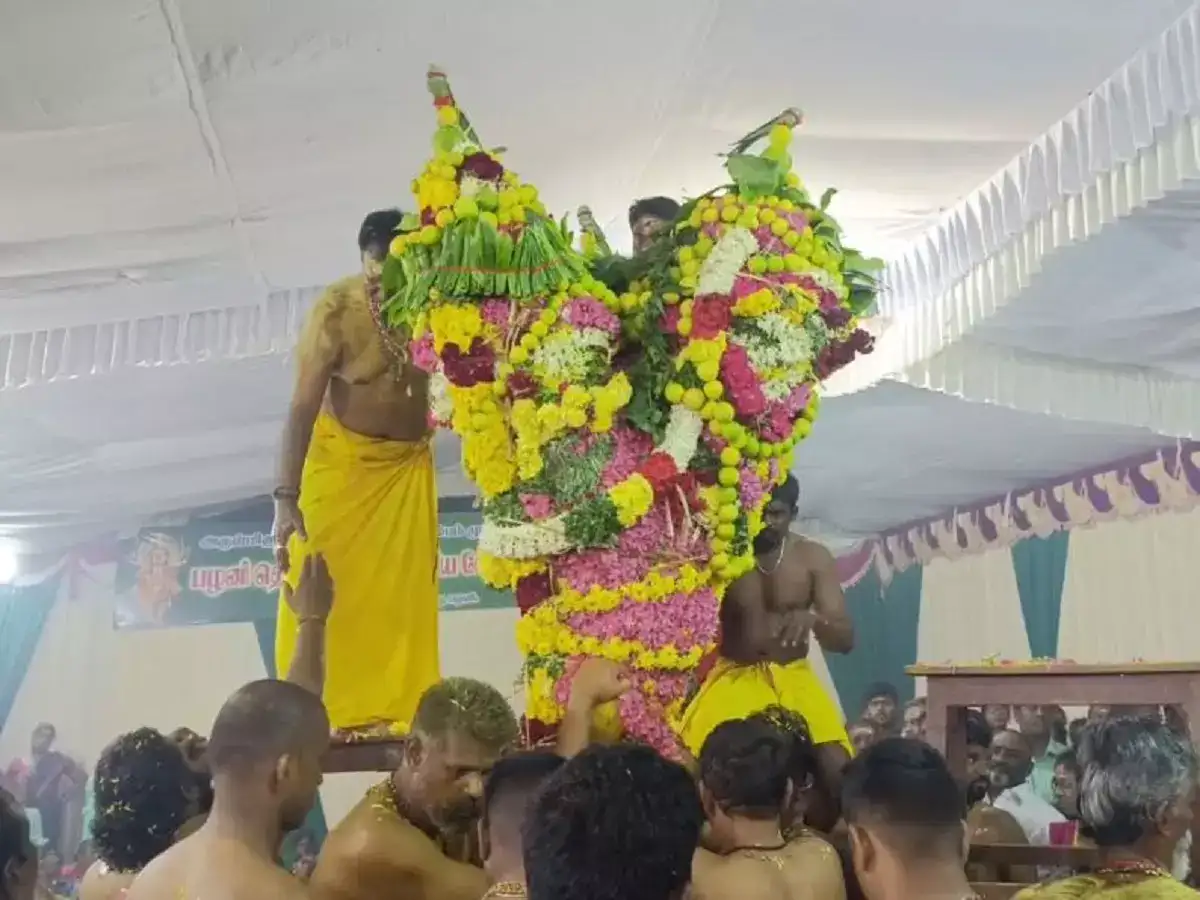 பழனி மாரியம்மன் கோயில் மாசித்திருவிழா... கம்பம் சாட்டுதல் கோலாகலம்! 